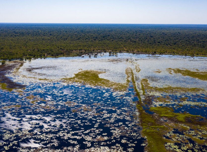 Banhine National Park, Gaza Province, Mozambique